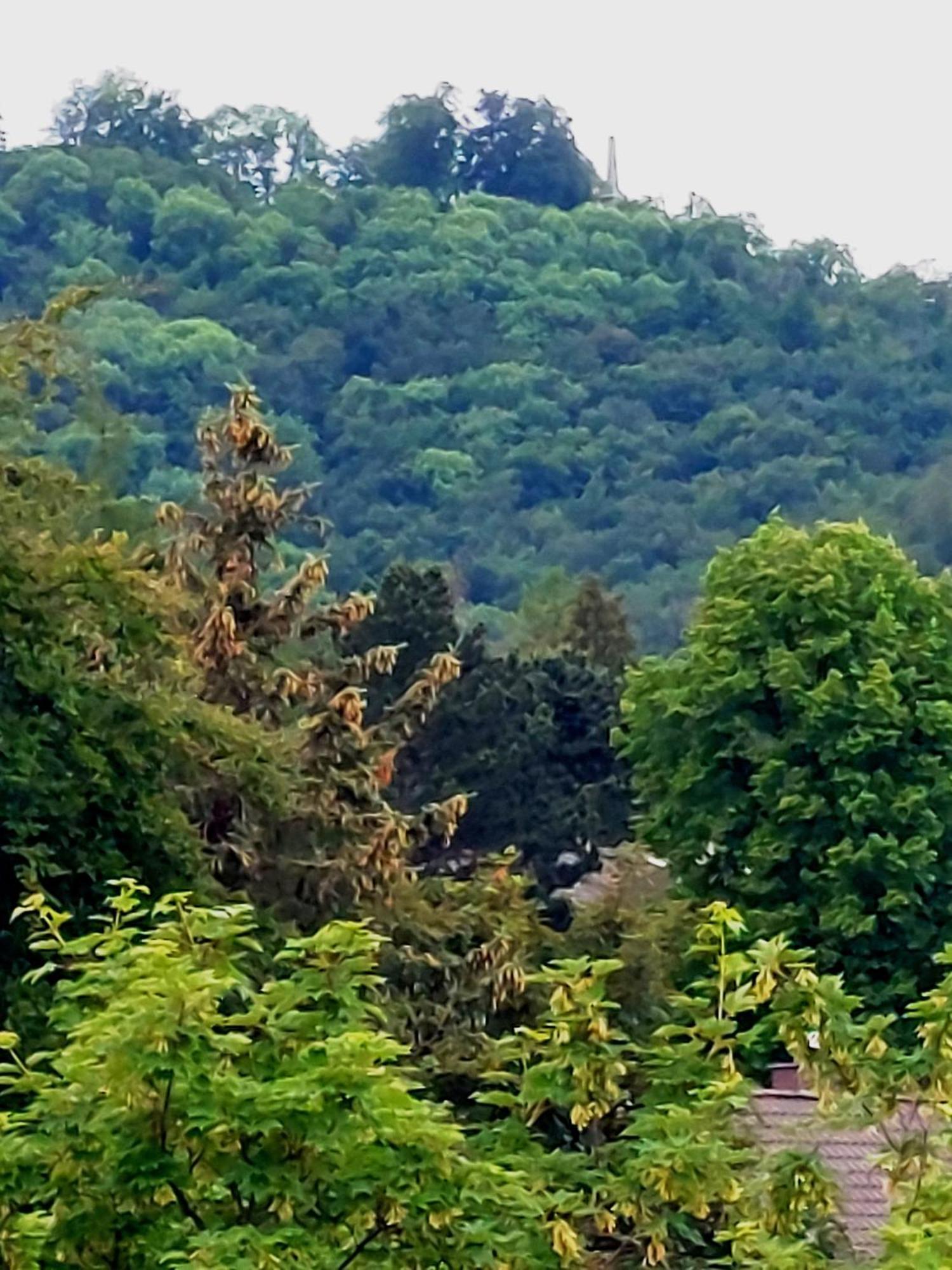 Ferienwohnung Burgberg-Blick Bad Harzburg Exterior foto