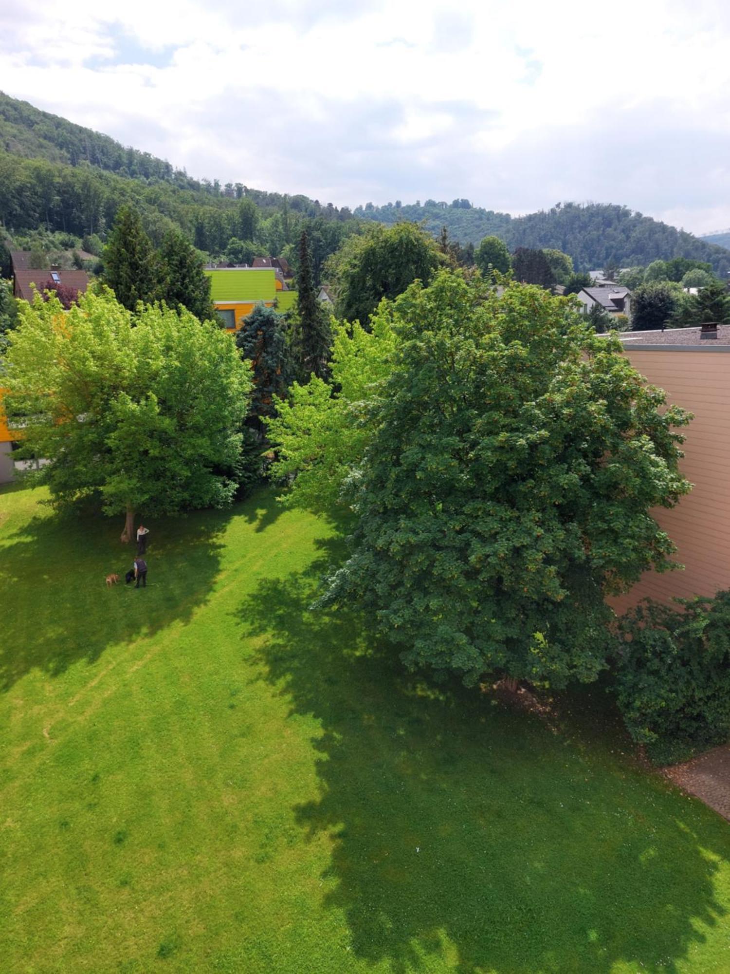 Ferienwohnung Burgberg-Blick Bad Harzburg Exterior foto